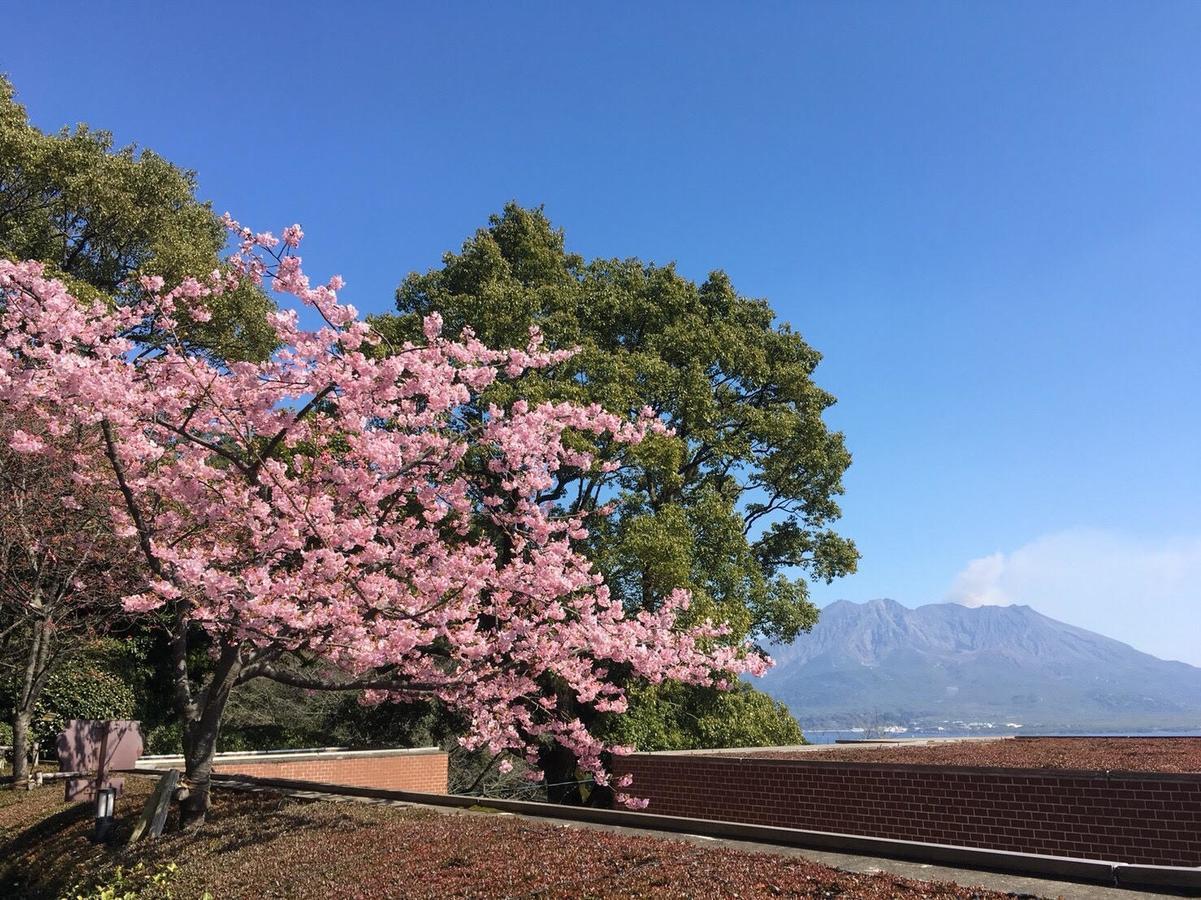 Shiroyama Hotel Kagošima Exteriér fotografie